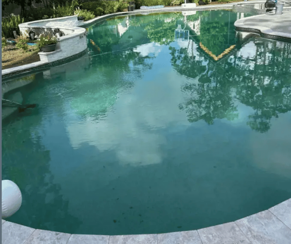 Pool Algae Problems in cypress