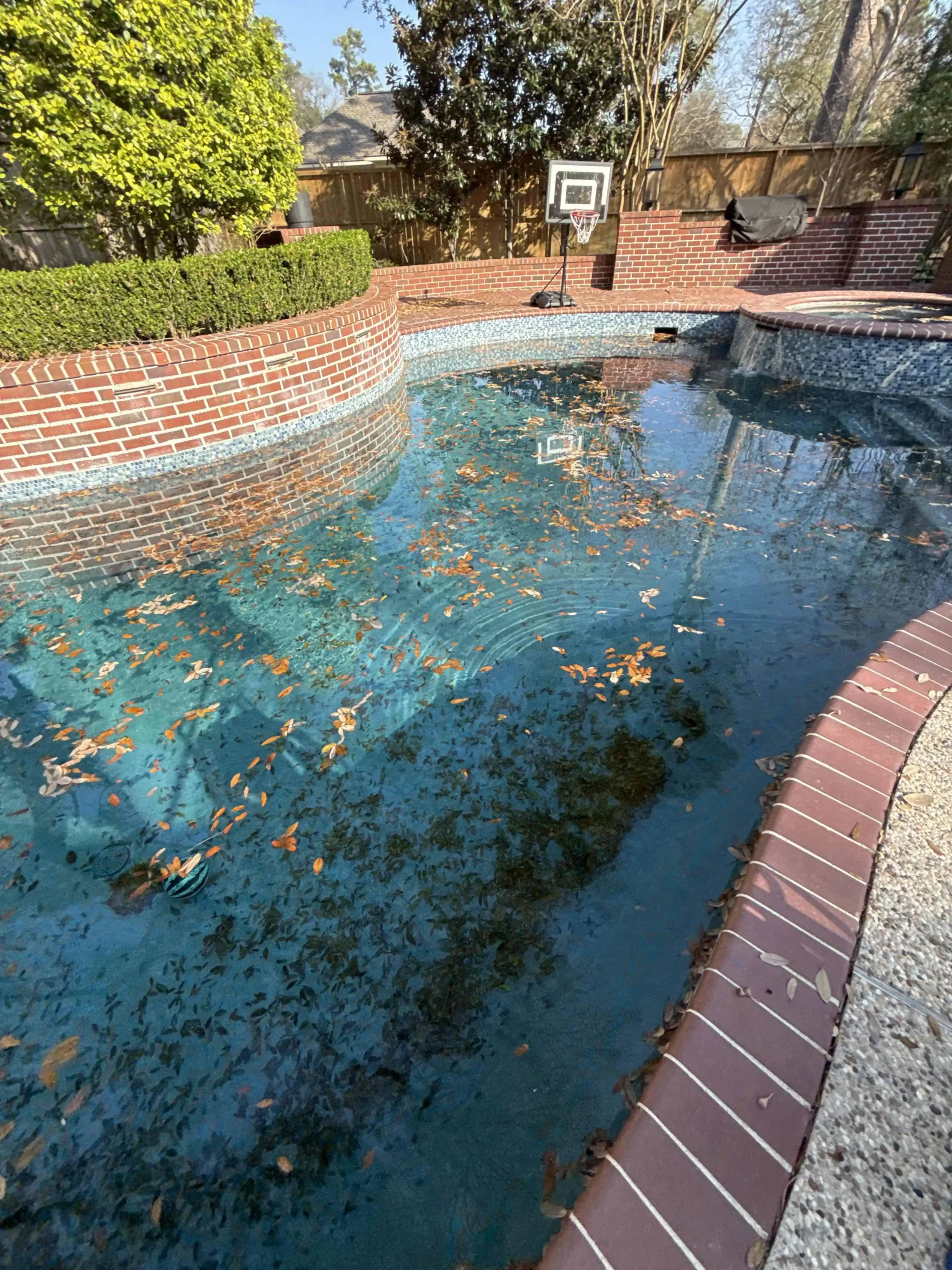 professional pool cleaning service houston