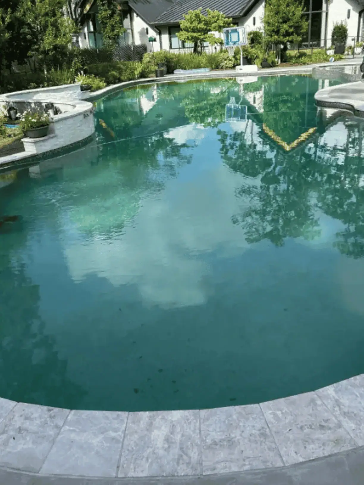 green pool cleanup services cypress (1)