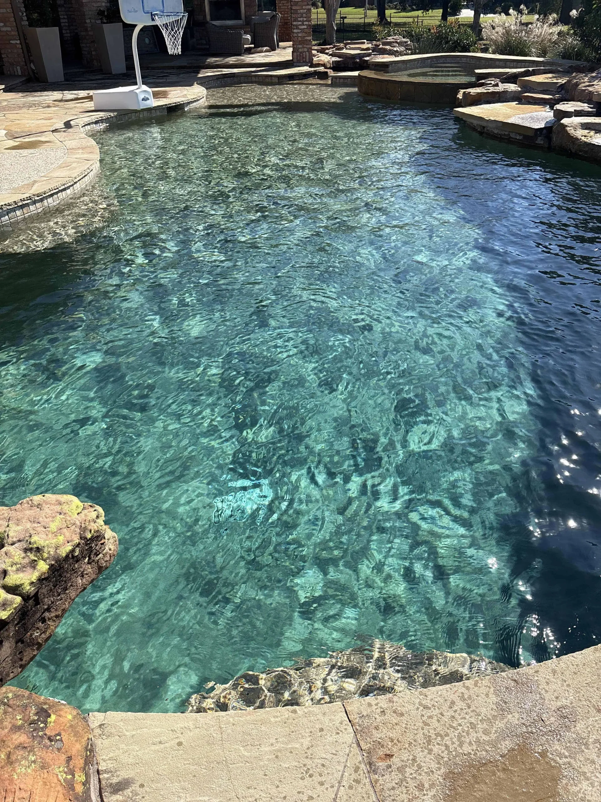 pool algae removal & treatment cypress